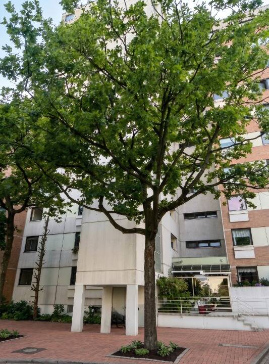 Möblierte Wohnung nahe MHH, ideal für Berufstätige und Studenten, 30625 Hannover
