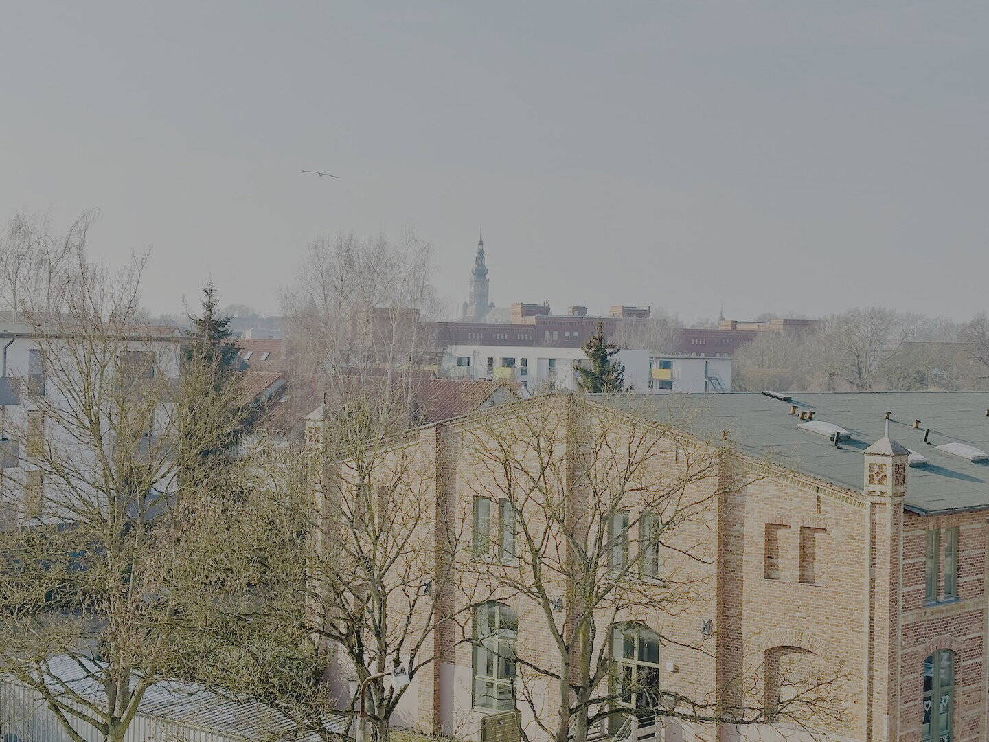 image-72444989
