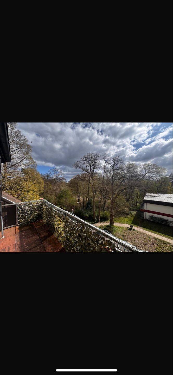image-72851913