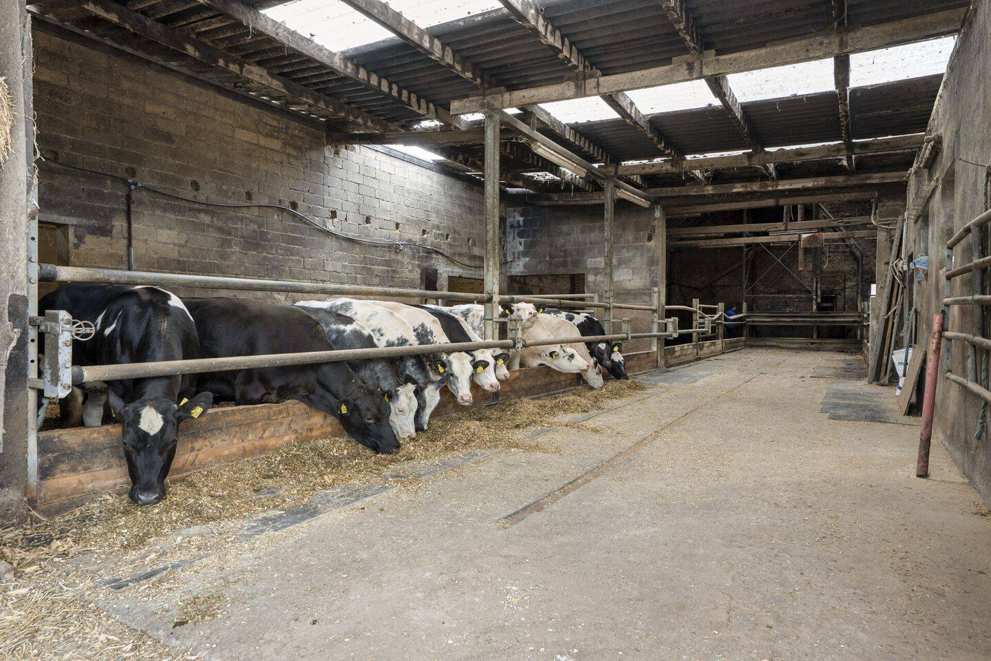 Bauernhof mit Stallungen, Scheunen und über 9.000 m² Grundstück in Heinsberg-Hülhoven, 52525 Heinsberg