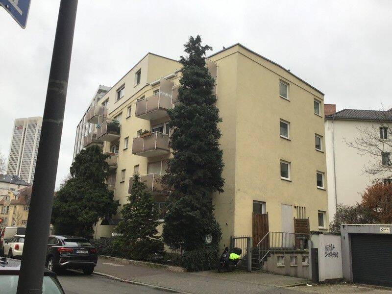 image-72788582