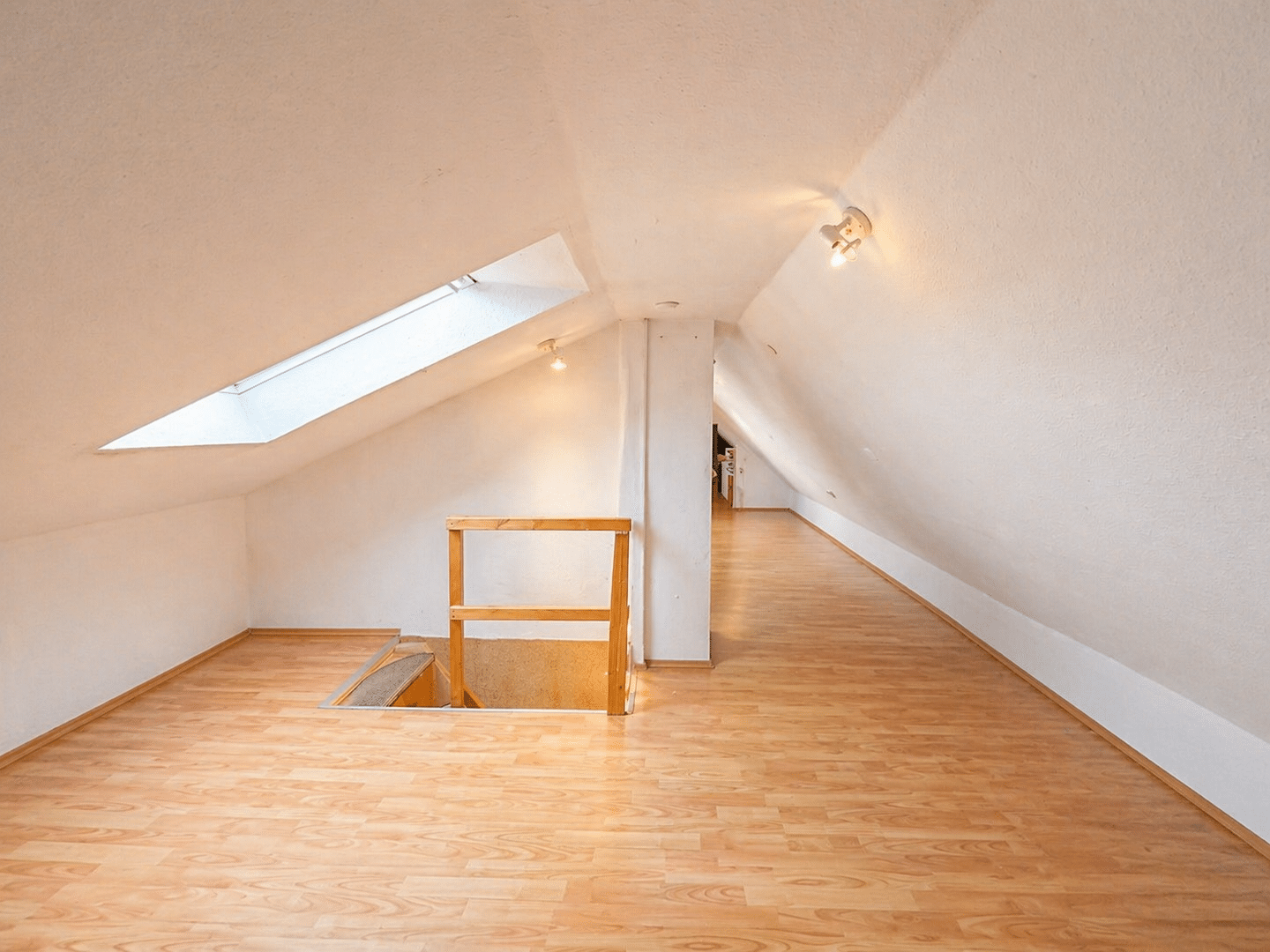 image-72744019