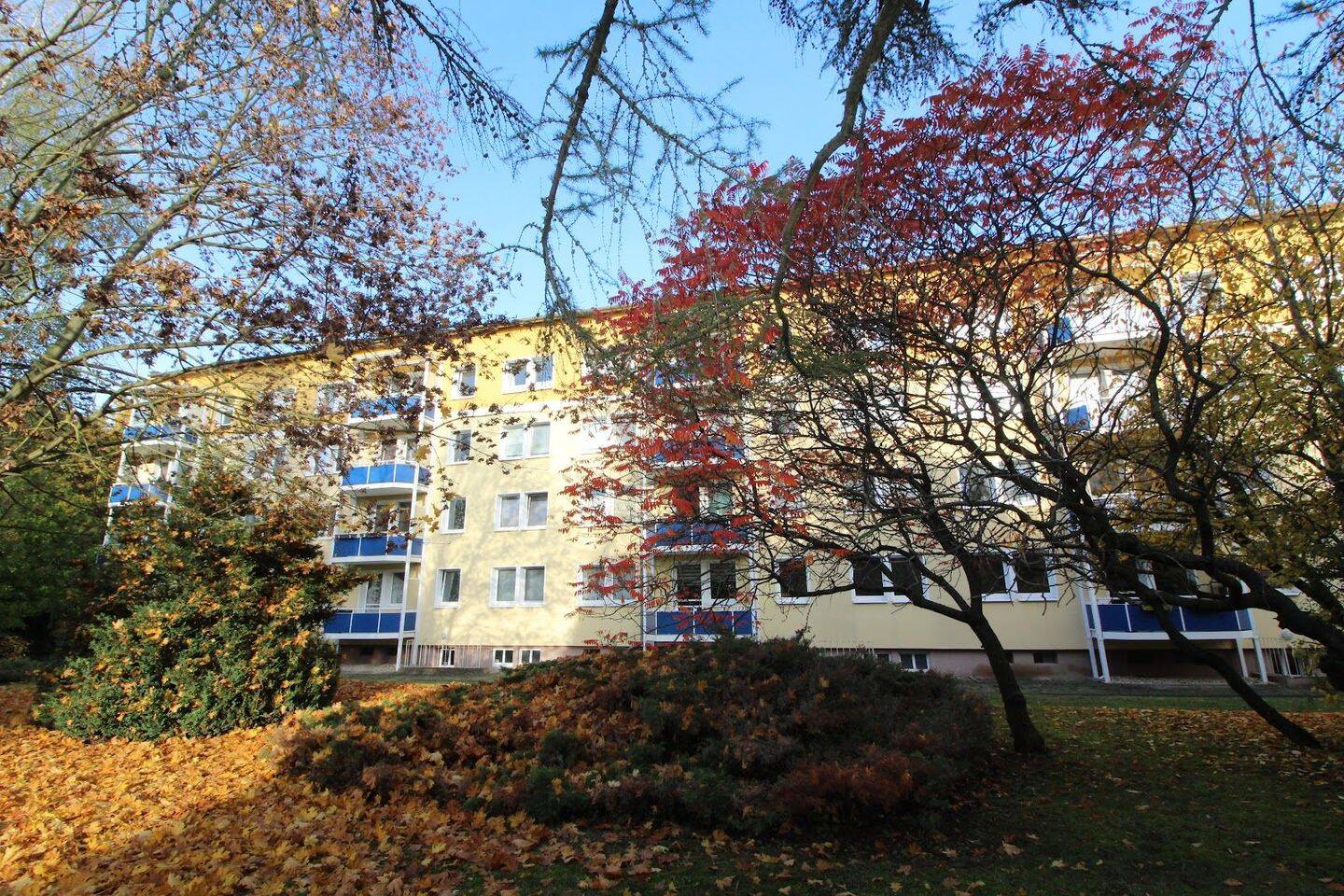 Arbeits-/Studien-/Kinderzimmer frei, 6406 Bernburg (Saale)