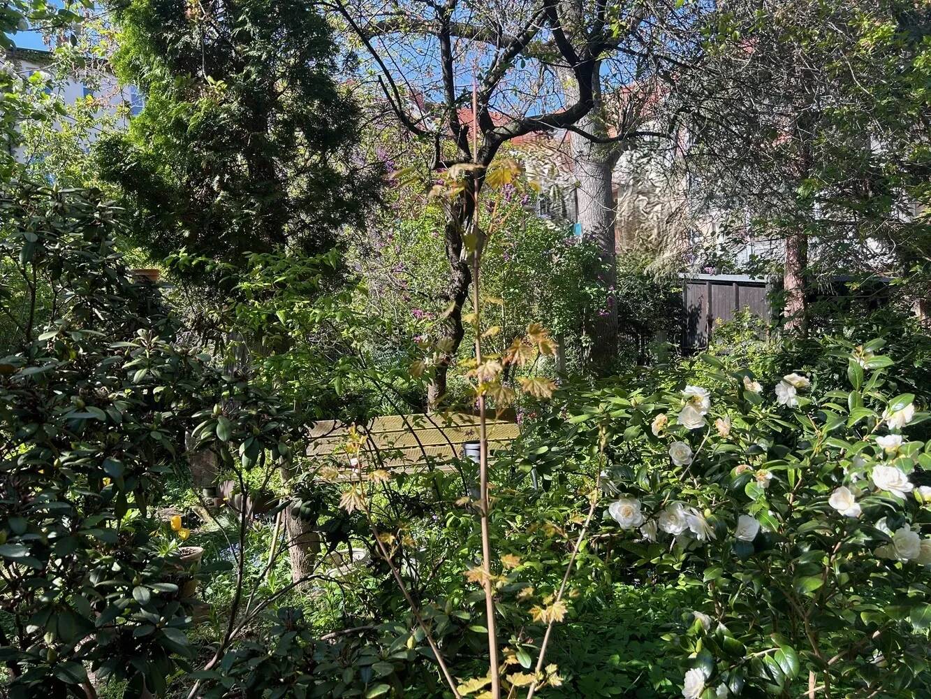 Mehrfamilienhaus mit rückwärtigem Garten im Mühlwegviertel – für Selbstnutzer geeignet, 6114 Halle (Saale) (Am Wasserturm Giebichenstein Innenstadt Paulusviertel Trotha)