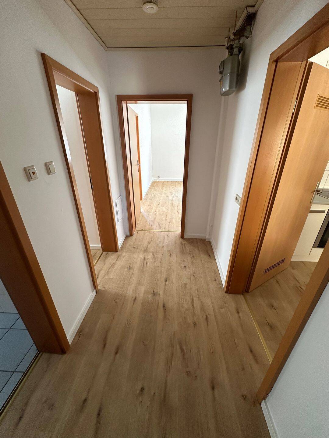 Frisch renovierte 3-Zimmer-Wohnung (54 m²) sucht neue Bewohner/innen, 69226 Nußloch