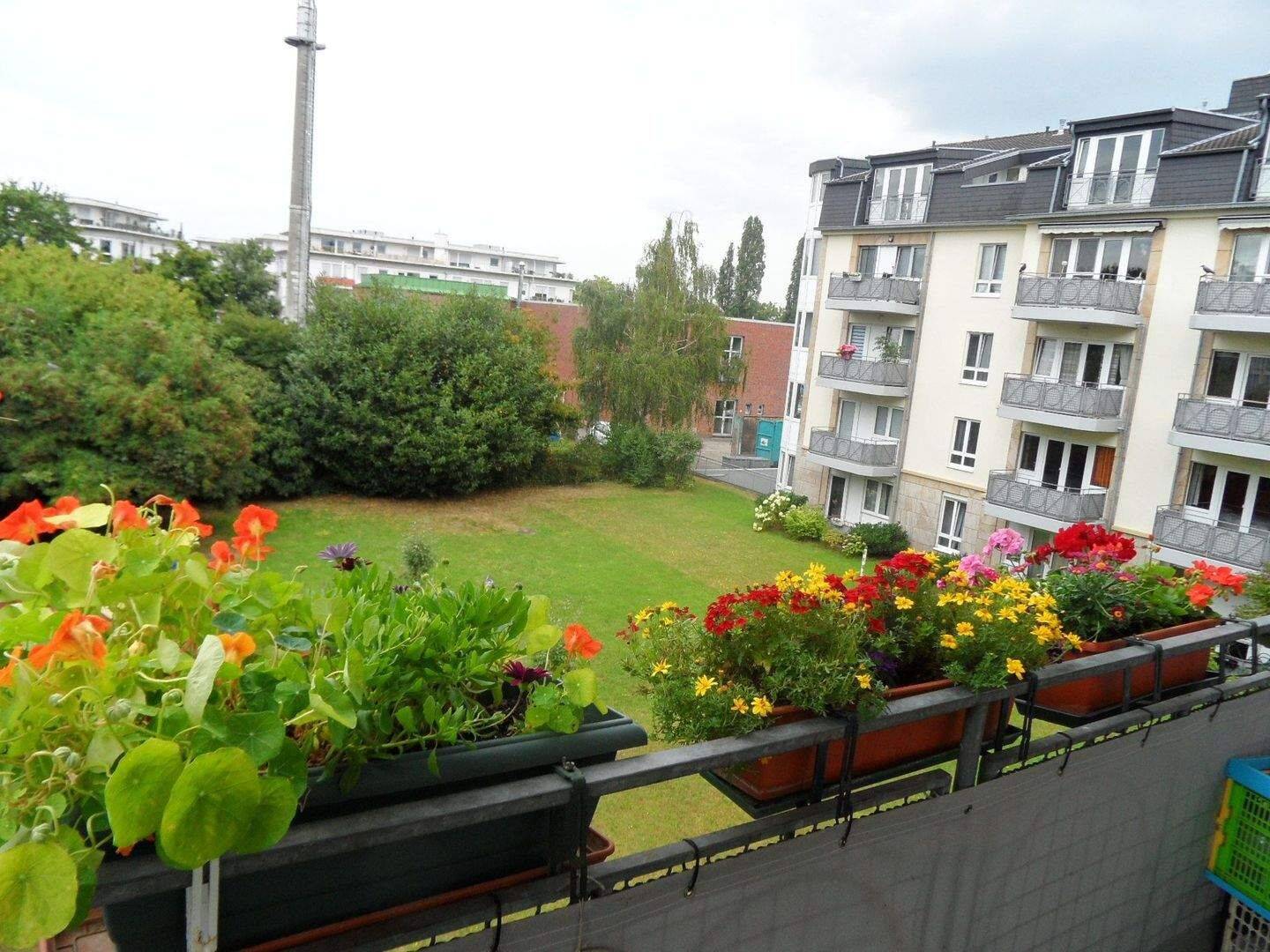 Bonn, helle 2 Zimmerwohnung mit Balkon, * Einzelperson * Gartenseite, TG – Stellplatz, 53117 Bonn (Auerberg Buschdorf Graurheindorf Zentrum Castell)