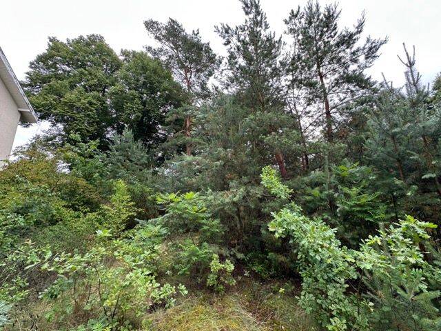 image-72617124