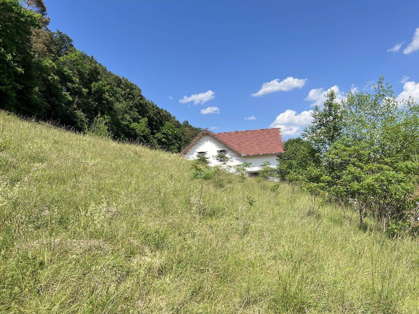 Bauplatz für ein Doppelhaus bzw. FÜR ZWEI DOPPELHAUSHÄLFTEN, 79780 Stühlingen