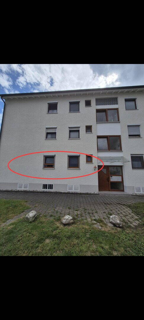 image-72544351