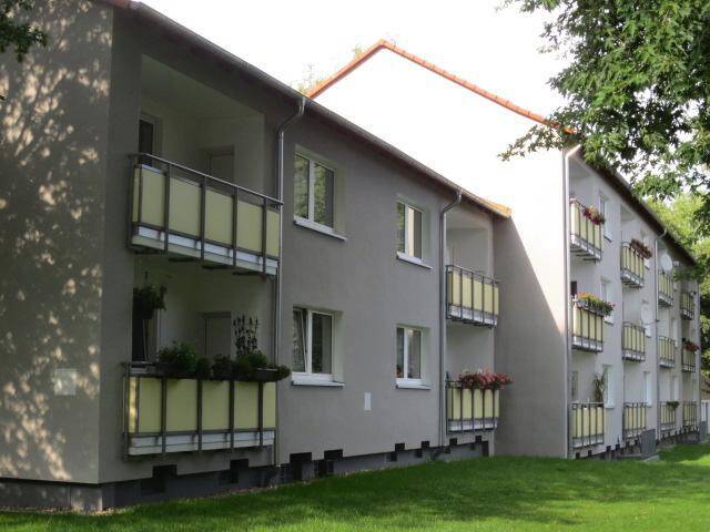 image-72585806