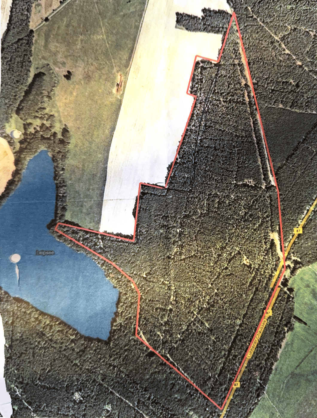 Einzigartiges Waldgrundstück mit ca. 64 Hektar in traumhafter Naturlage am Leipsee bei Kohlsdorf, 15848 Beeskow