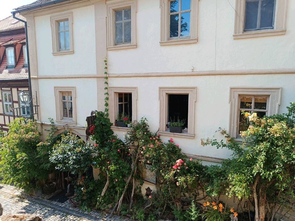 image-72587694