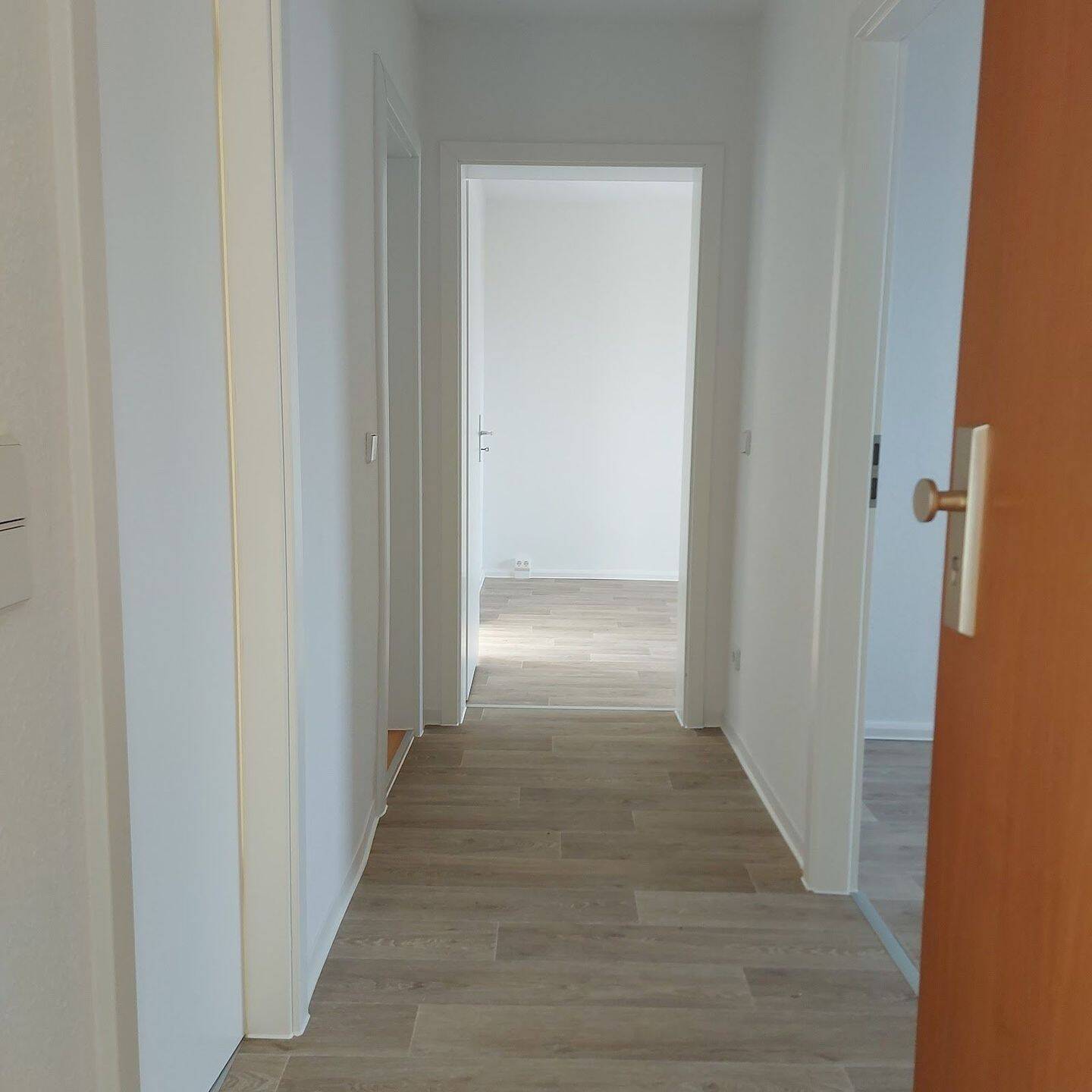 image-72506882
