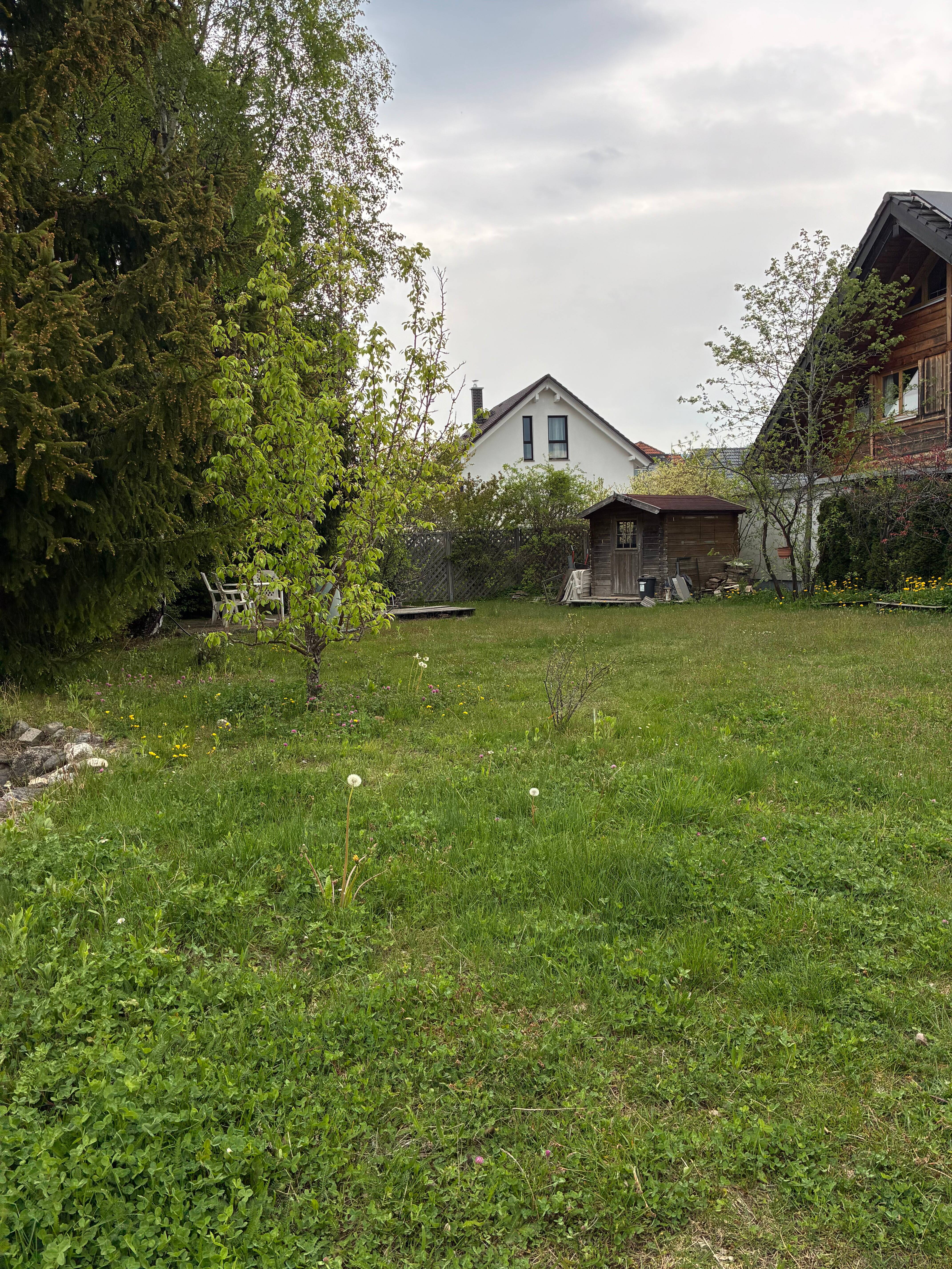 image-72643267