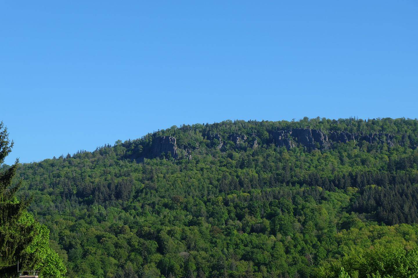 image-72455141
