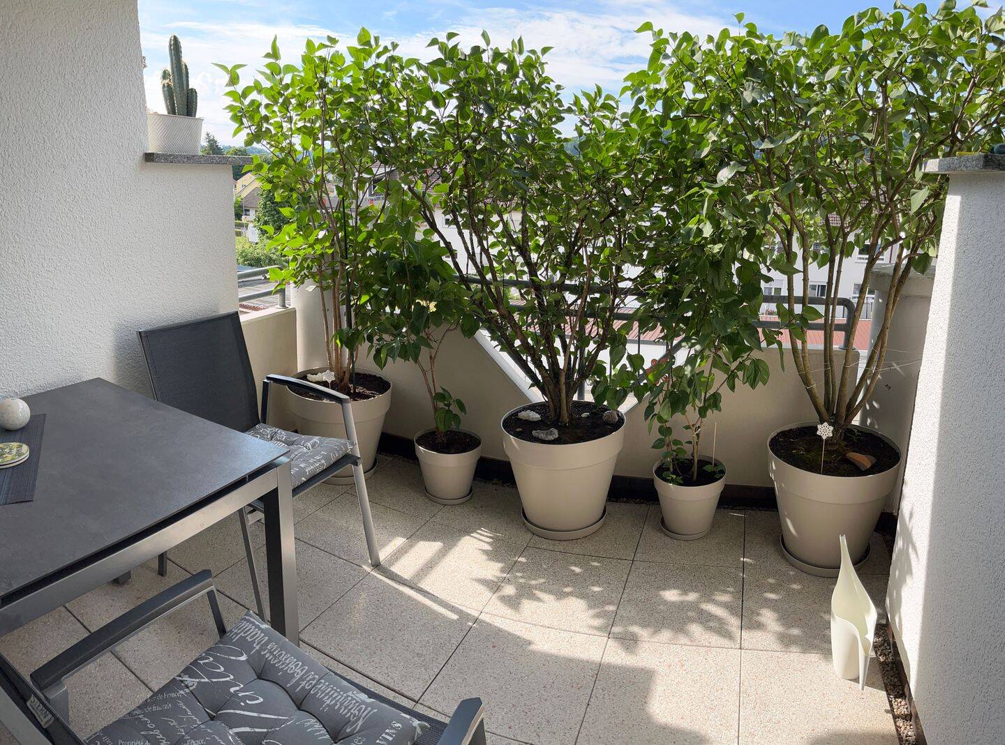 Charmantes 2-Zimmer-Apartment mit Balkon in Hilzingen, 78247 Hilzingen