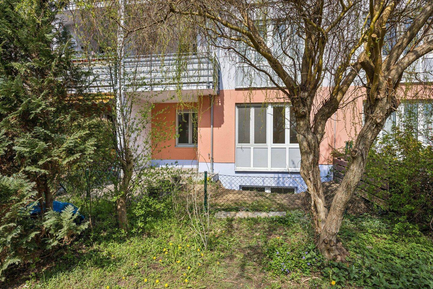 image-72753489