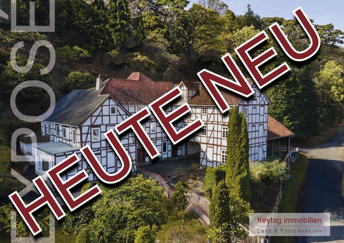 Geschichtsträchtiges Unikat: Wassermühle im Weserbergland, 34399 Wesertal