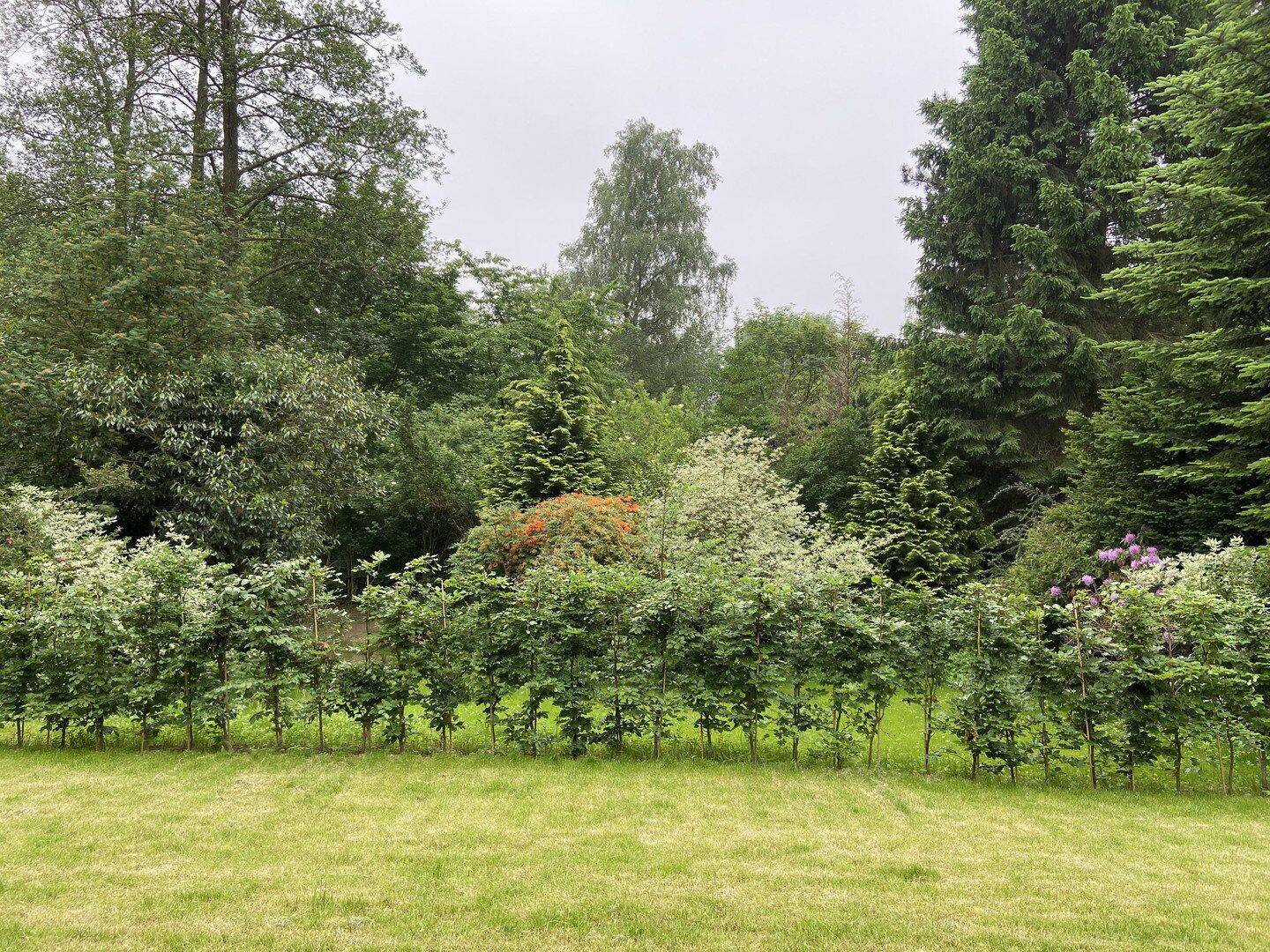 Moderne Wohnung mit großen eigenem Garten, 22159 Hamburg (Wandsbek Bramfeld Farmsen-Berne Sasel Tonndorf)