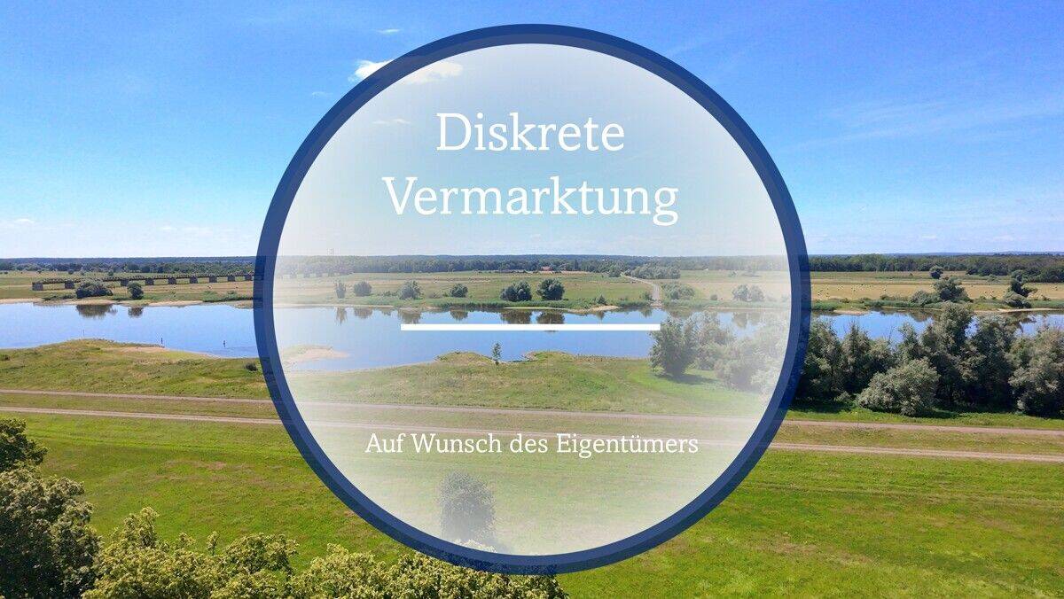 Exklusives Einfamilienhaus mit Elbblick – stilvolles Wohnen in besonderer Lage, 19303 Dömitz