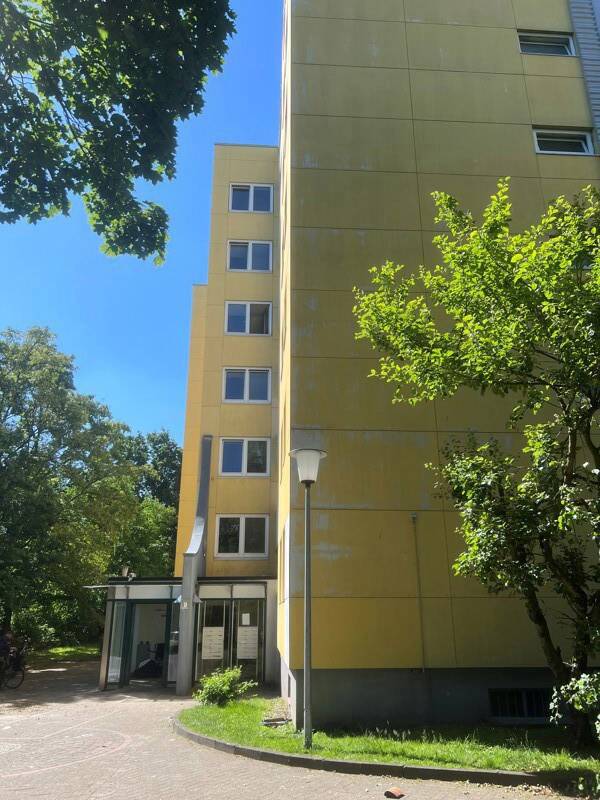 image-72478776
