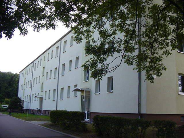 image-72586378