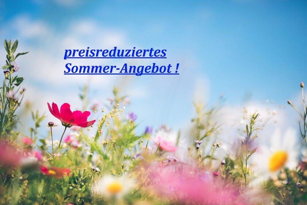 *** einfach zum Verlieben … sehr gepflegte 3 Zi.-Balkonwohnung in ruhiger Lage … ! ***, 74246 Eberstadt