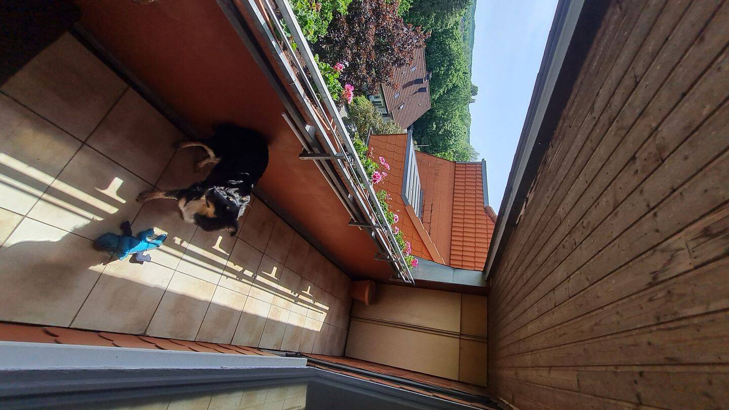 Nachmieter für 3 Zimmer Wohnung ab August, 49090 Osnabrück (Eversburg Hafen Haste Pye Sonnenhügel)