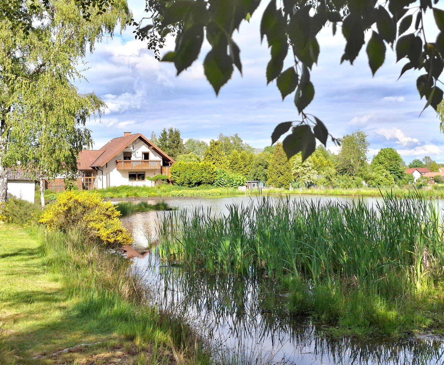 Naturparadies mit eigenem Weiher, Bauplatz, 5.000 qm Grund, 95709 Tröstau