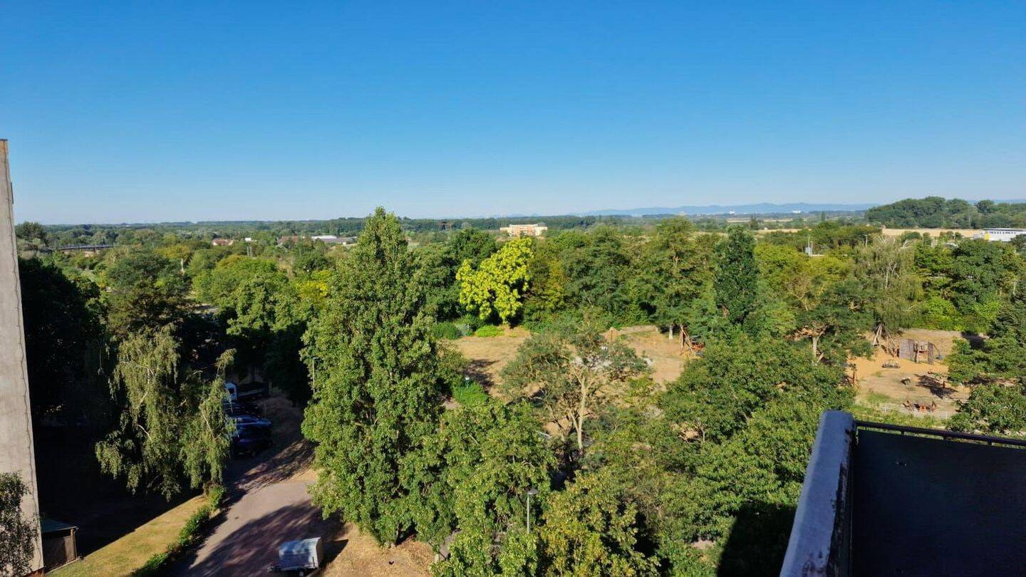 2-Zimmer-Wohnung mit wundervoller Aussicht über Hockenheim, 68766 Hockenheim