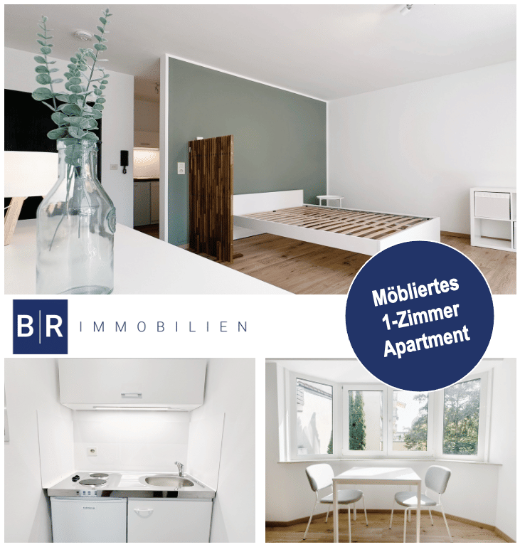 Möbliertes 1-Zimmer-Apartment – Darmstadt Innenstadt Bestlage, 64283 Darmstadt (Darmstadt)