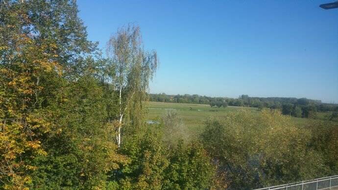 image-72738414
