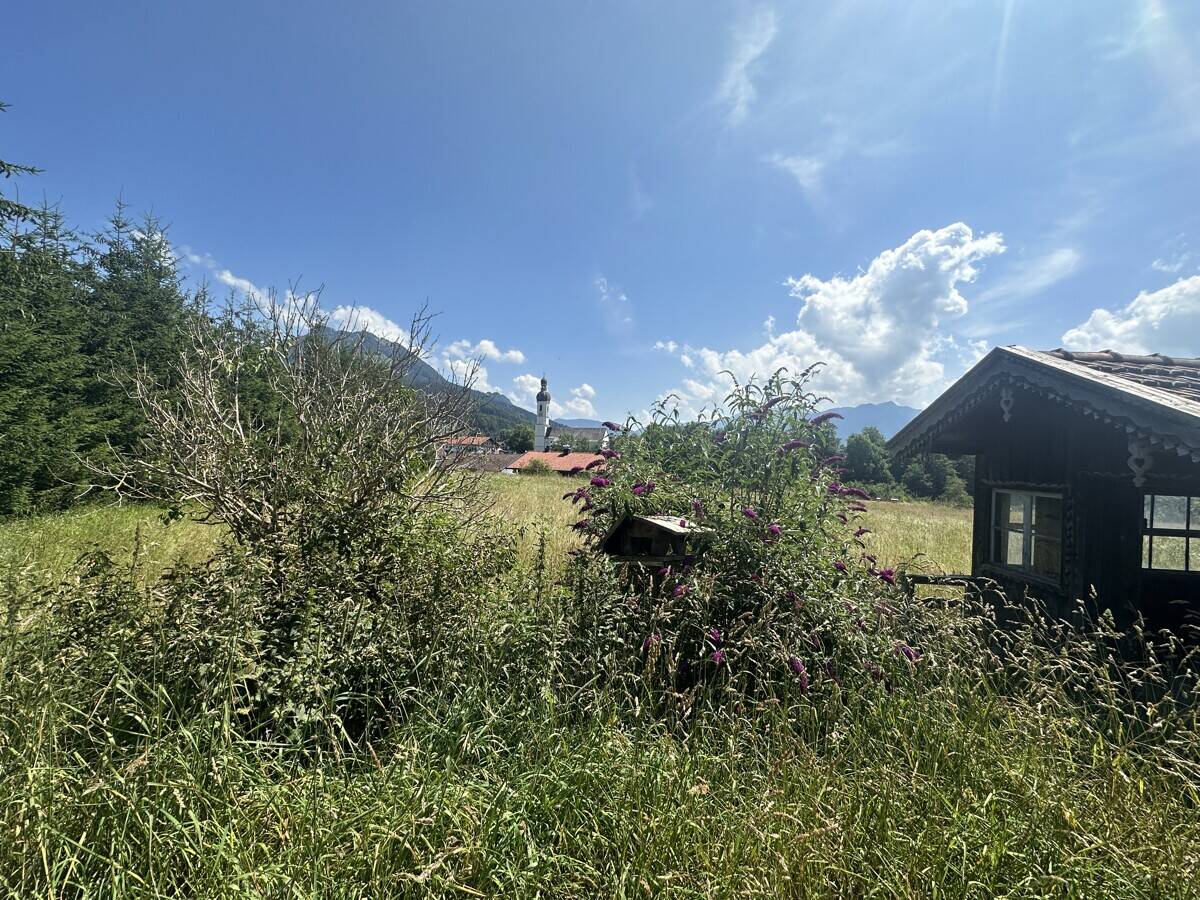 image-72306599