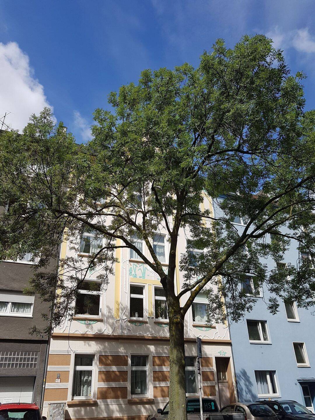 Schönes Apartment im beliebten Saarlandstraßenviertel, 44139 Dortmund (Brünninghausen Mitte)