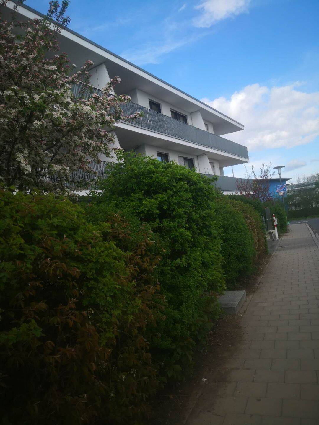 image-72829858