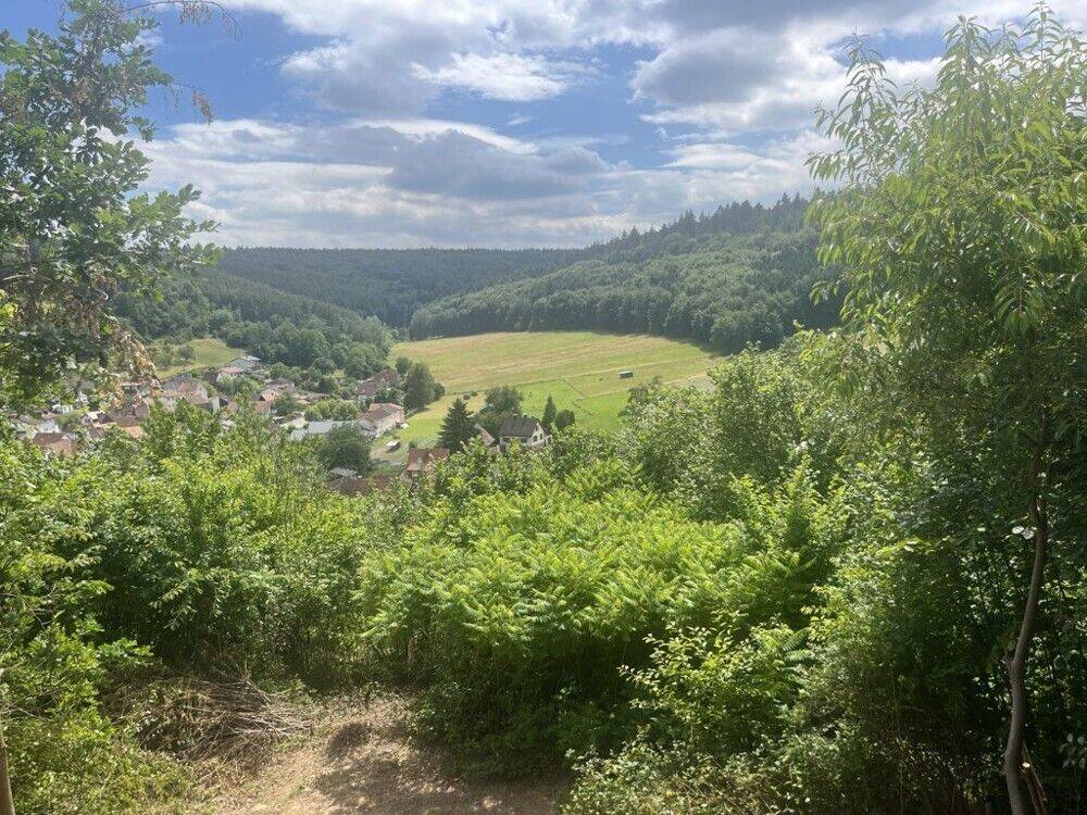 Sonnig – Ruhig – Ausblick inklusive EFH in Breuberg sucht neuen Besitzer mit grünem Daumen, 64747 Breuberg
