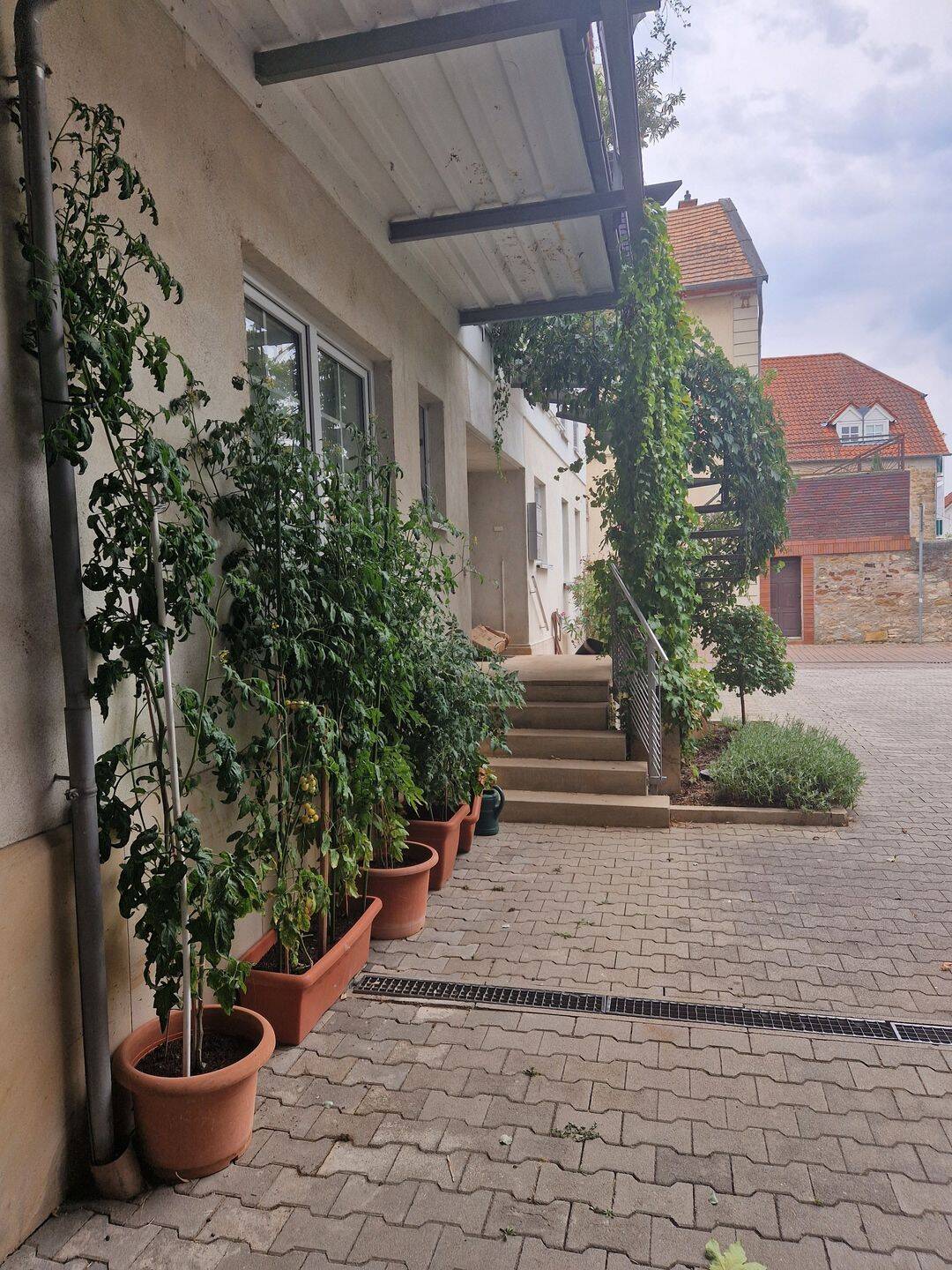 Mehrfamilienhaus mit Halle, 67098 Freinsheim