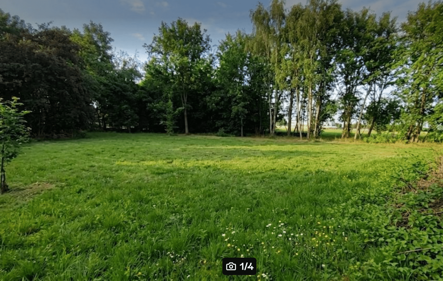 image-72642771
