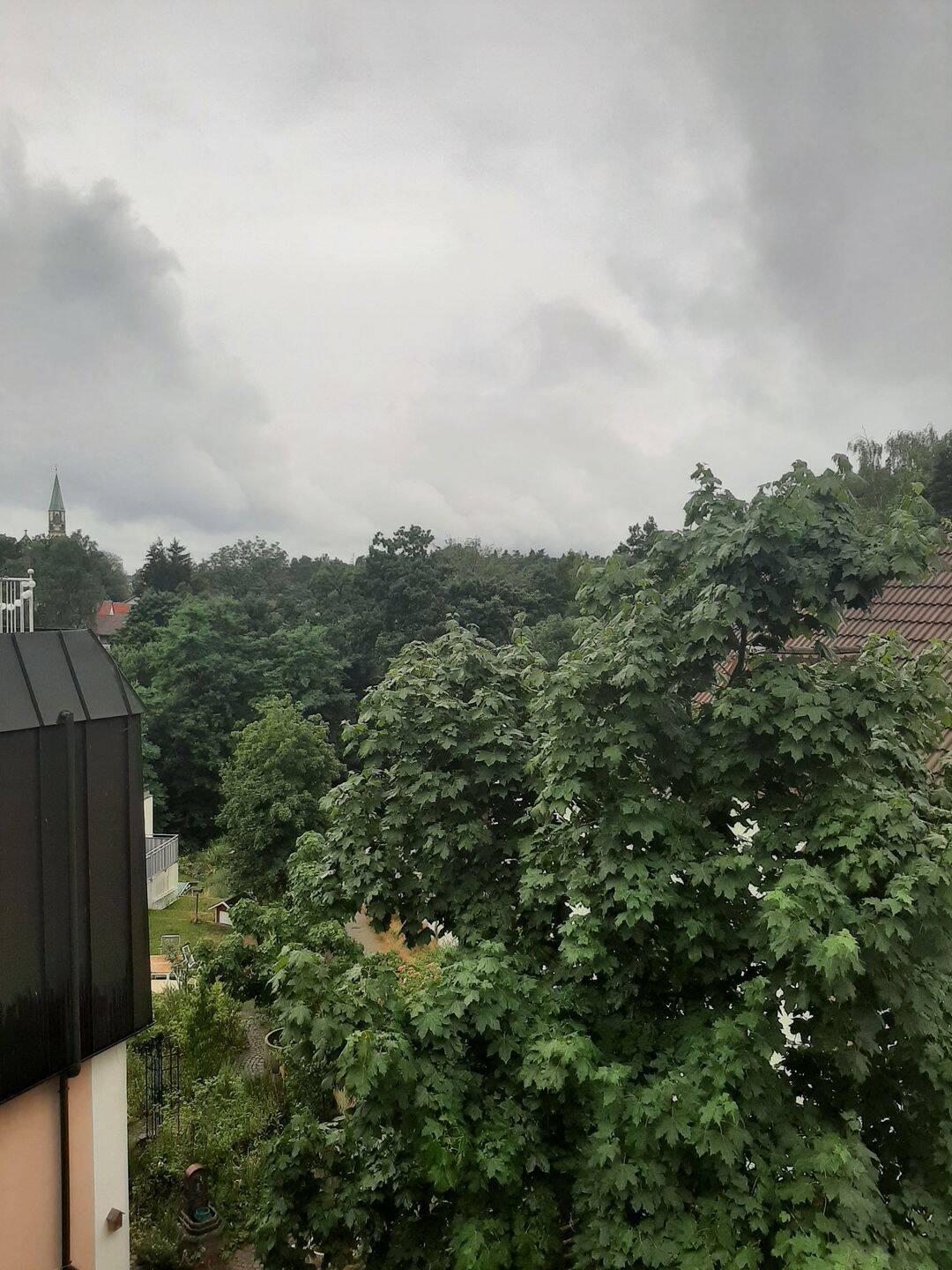 image-72617823