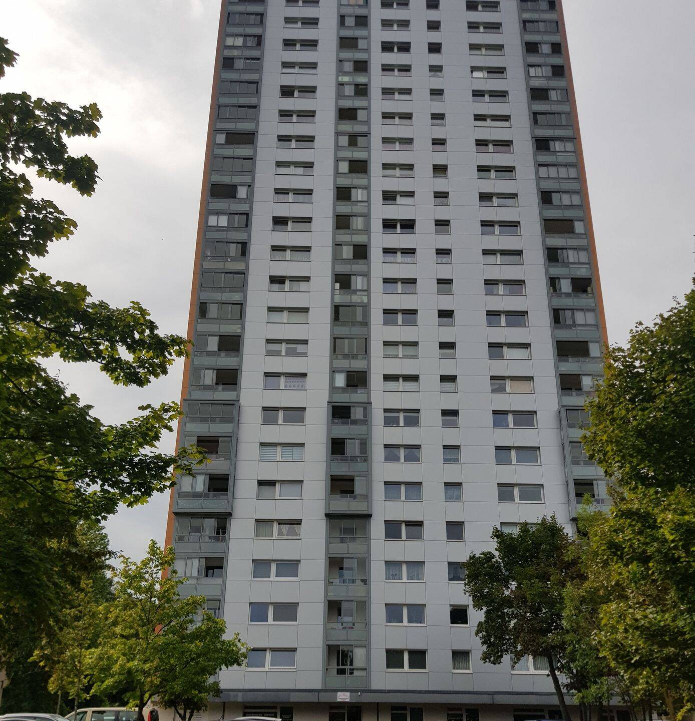 image-72561301