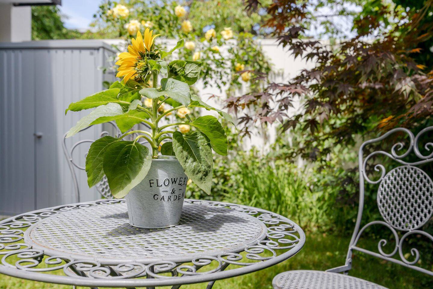 Licht, Garten, Lebensqualität: Erdgeschosswohnen mit Hauscharakter!, 81245 München (Aubing-Lochhausen-Langwied Pasing-Obermenzing)