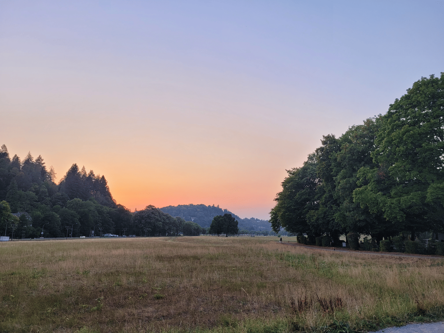 Attraktives 5-Fam-Gründerzeit MFH + Fabrik-Etage + 405qm WNF + 4 Wohnungen ab Kauf beziehbar-vermietbar + 528qm GS + Garten/Gartenhaus, 79100 Freiburg im Breisgau (Günterstal Vauban Wiehre)