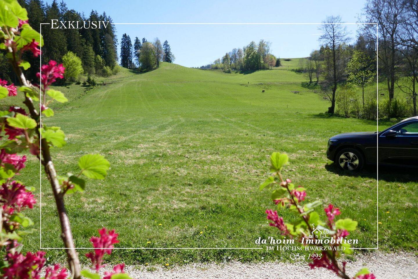 Exquisiter Bauplatz in Hinterzarten, 79856 Hinterzarten