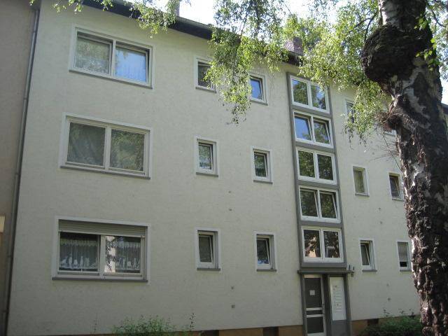 image-72778091