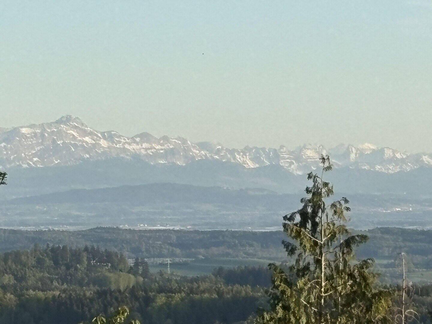 image-72675417
