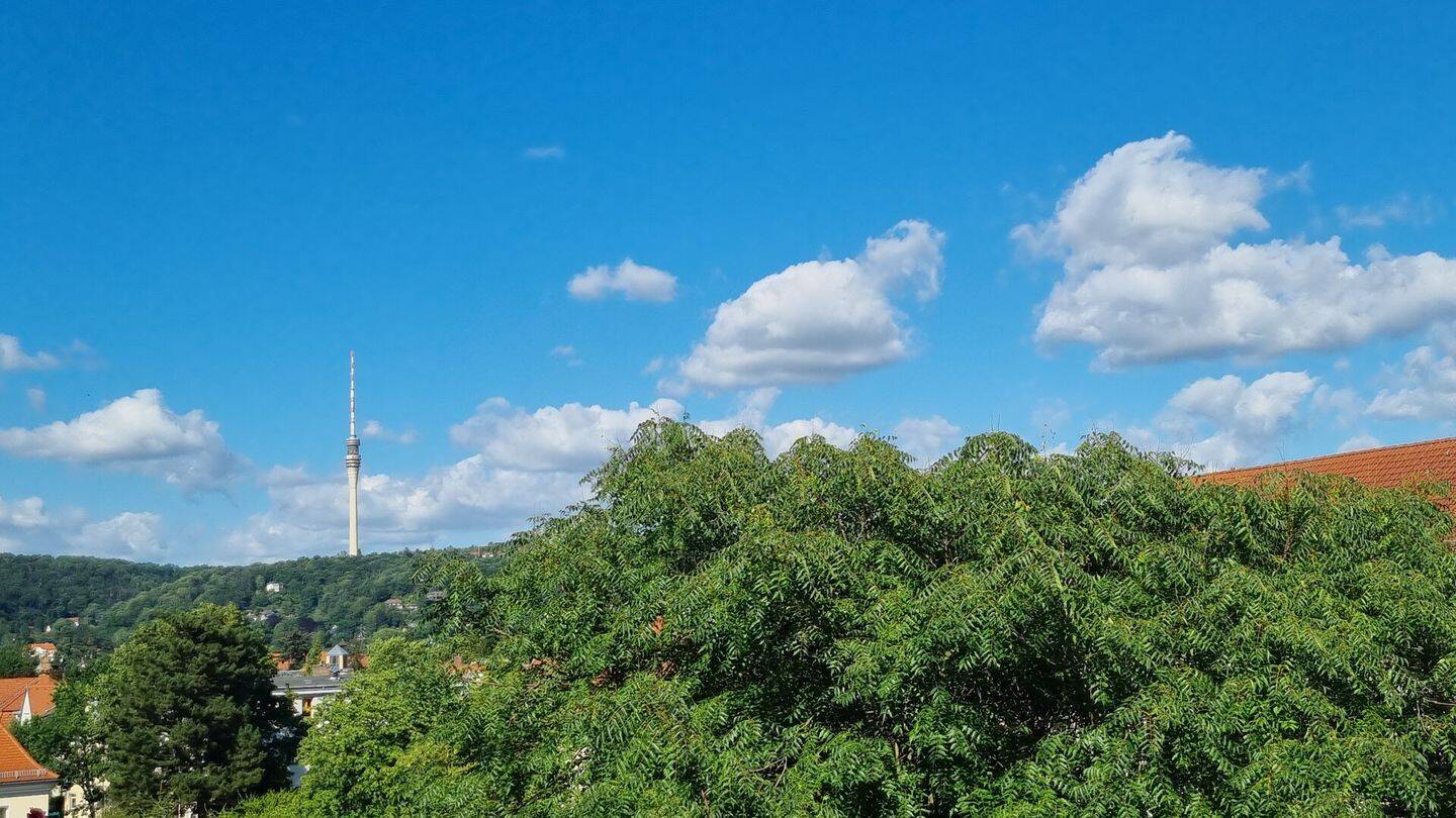 Ruhige Lage trifft gepflegten Wohnkomfort – 3-Zimmer-Wohnung mit Balkon in Tolkewitz, 1279 Dresden (Blasewitz Laubegast Leuben Seidnitz/Dobritz Tolkewitz/Seidnitz-Nord)