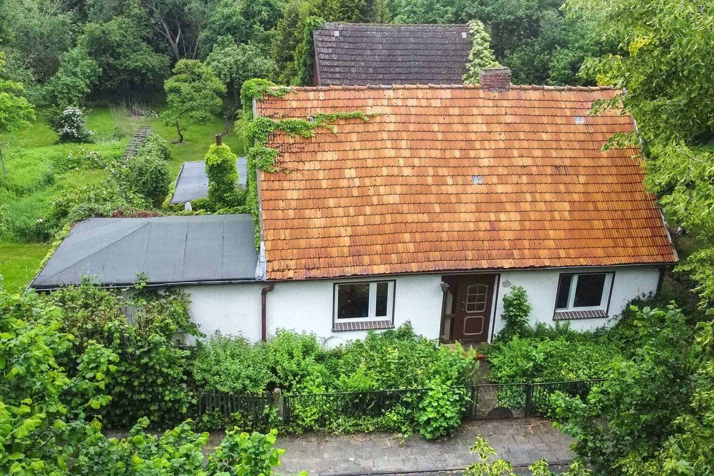Verwunschener Rückzugsort mit Künstlerseele – auf fast 5.000 m² Naturgrundstück, 18516 Süderholz