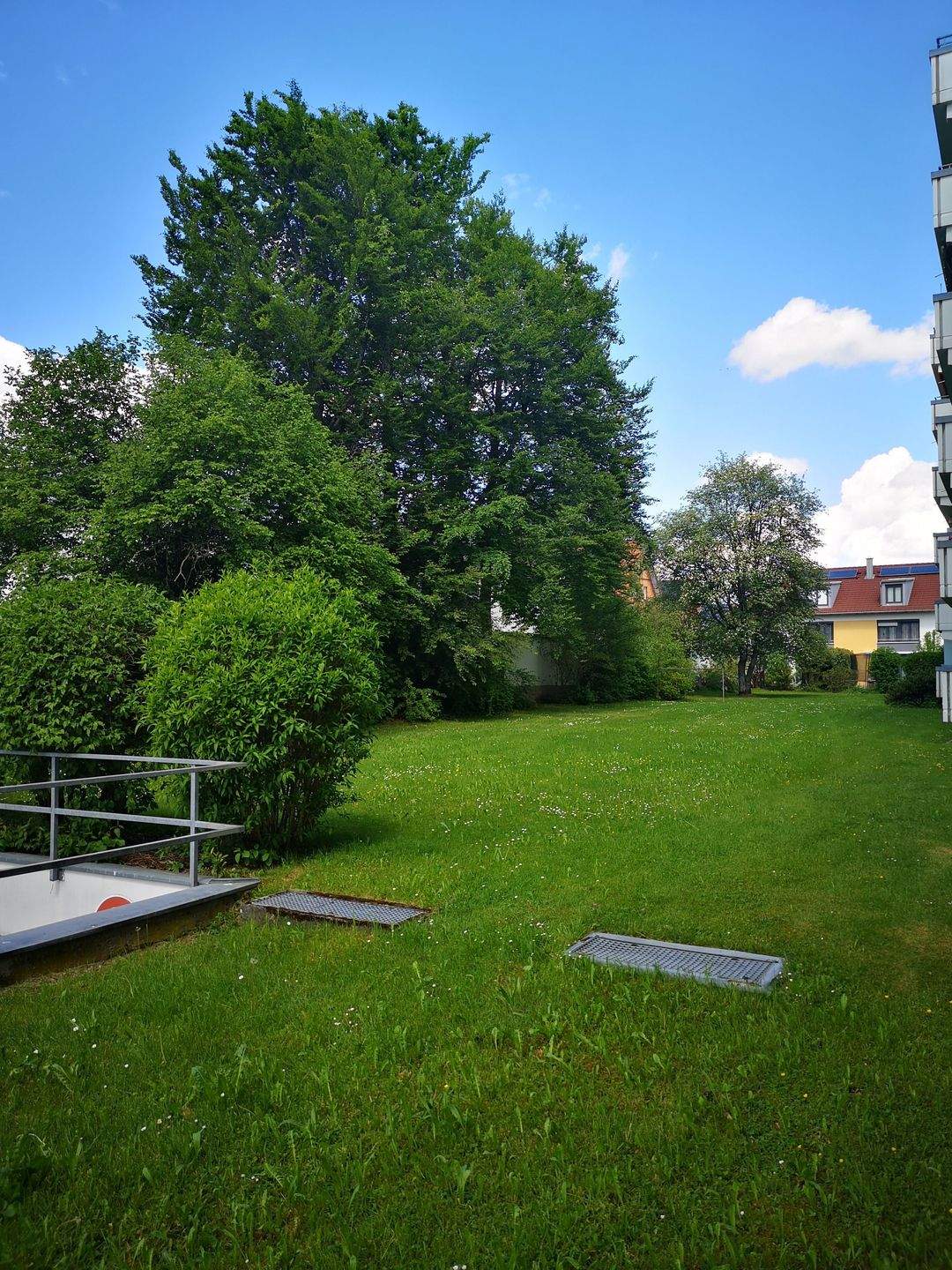 image-72816254