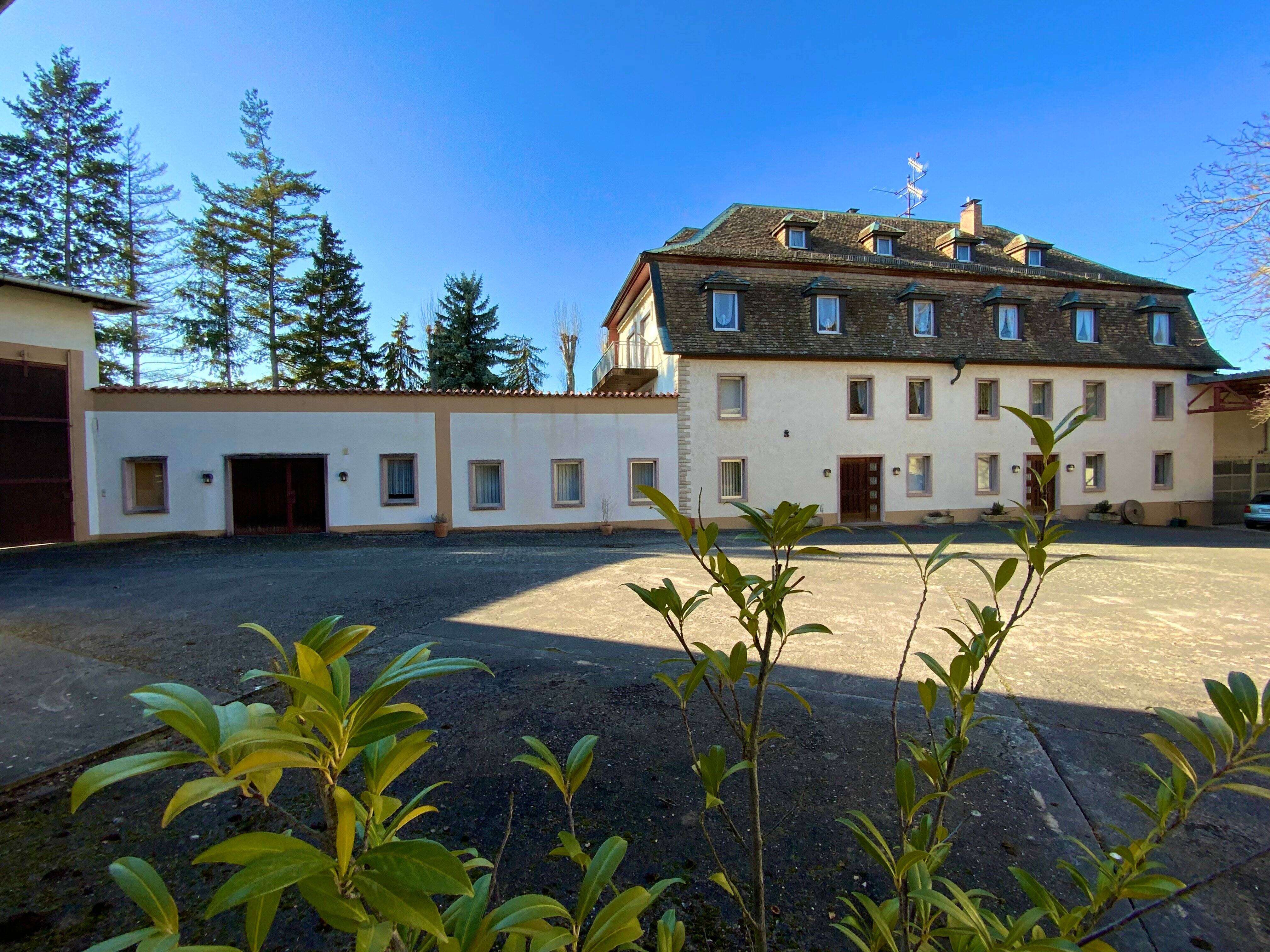 Beeindruckende Wohnung, auch als repräsentative Büro-o. Praxisräume nutzbar, 55270 Bubenheim