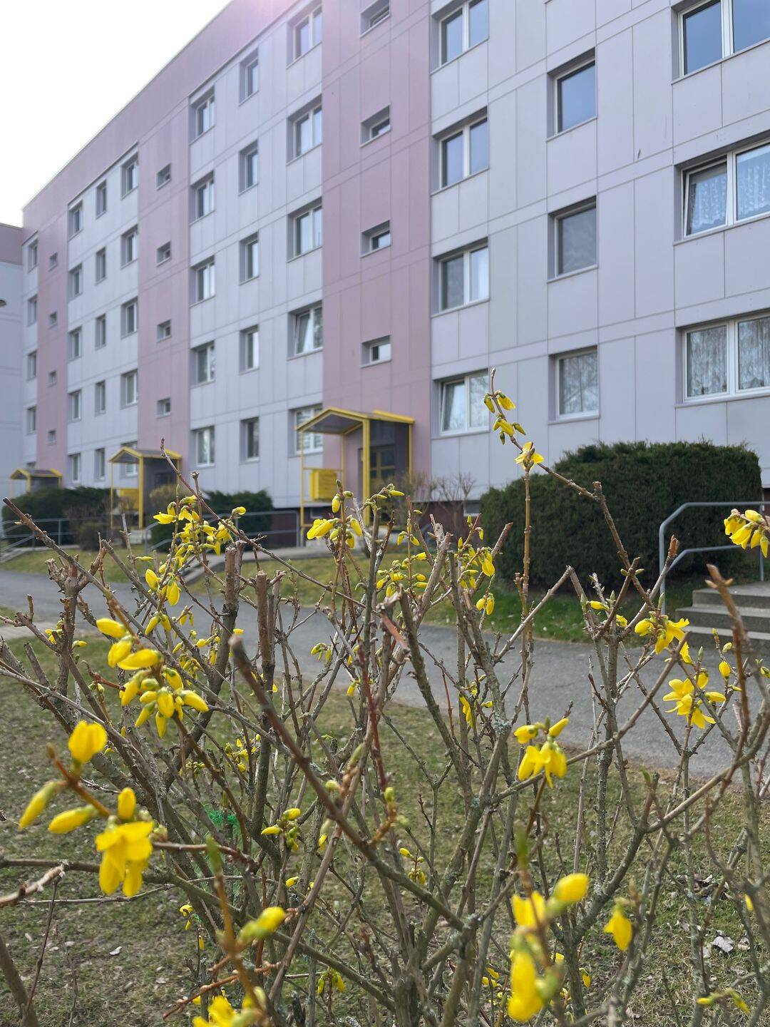 Renovierungsbonus für Ihren Start ins neue Zuhause, 7806 Neustadt an der Orla